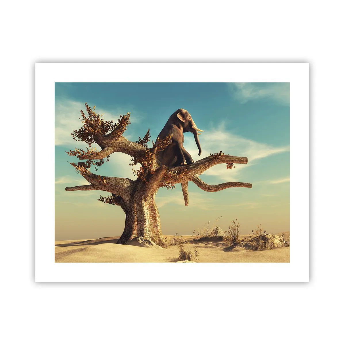 Poster - Un nou punct de vedere - 50x40 cm