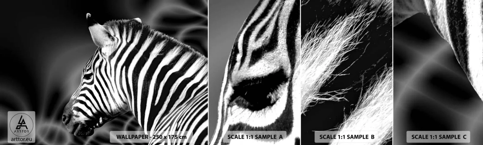 Mostră de Tapet Standard Eco - Albul e alb și negrul e negru - Coaste, alb-negru, Animale - 100x30 cm