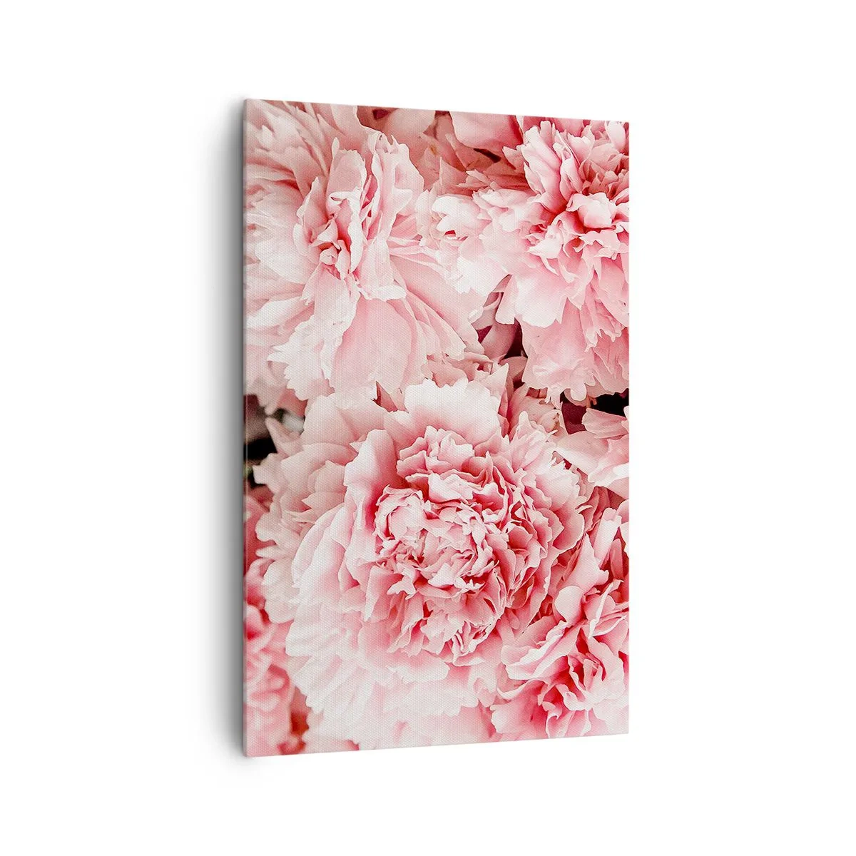 Tablou pe pânză - Visul roz - 80x120 cm