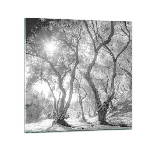 Tablou pe sticlă - Într-o livadă de măslini - 30x30 cm