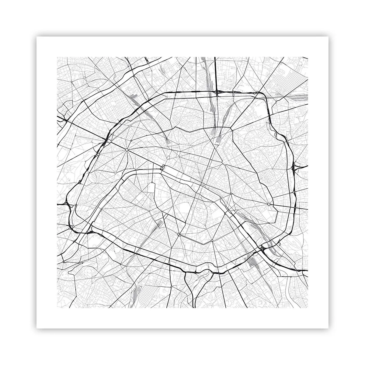 Poster - Floarea Parisului - 50x50 cm