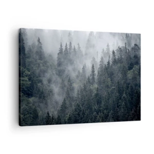 Tablou pe pânză Canvas - Pădure de conifere încețoșată în nuanțe de gri și verde - 70x50cm - Zori de pădure - Decorațiune modernă pentru perete pentru living și dormitor ARTTOR