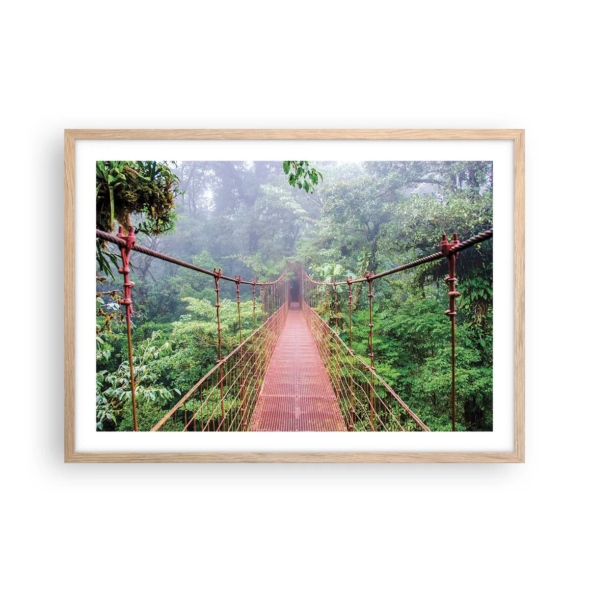 Poster în ramă de stejar deschis - Suspendat deasupra coroanelor arborilor - 70x50 cm