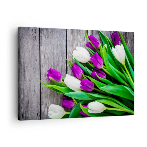 Tablou pe pânză Canvas - Un buchet de lalele mov și albe pe un fundal de lemn - 70x50cm - În ziua festivalului de primăvară - Decorațiune modernă pentru perete pentru living și dormitor ARTTOR