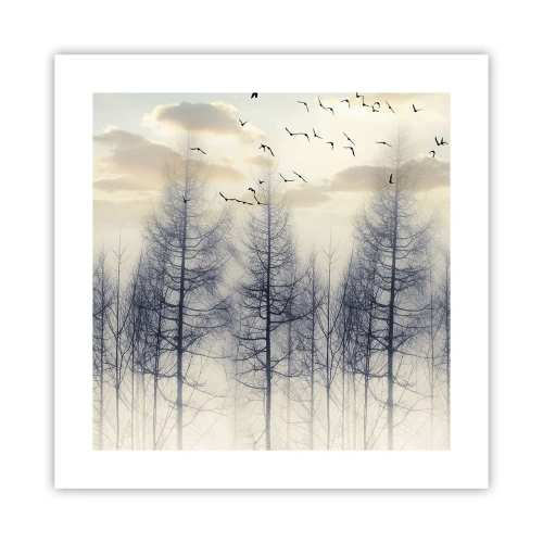 Poster - Spiritele pădurii - 40x40 cm