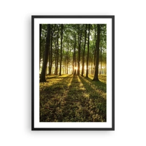 Poster în ramă neagră - O pădure luminată de razele soarelui care apune - 50x70cm - Fotografia tuturor primăverilor - Decorațiune modernă pentru perete pentru living și dormitor ARTTOR