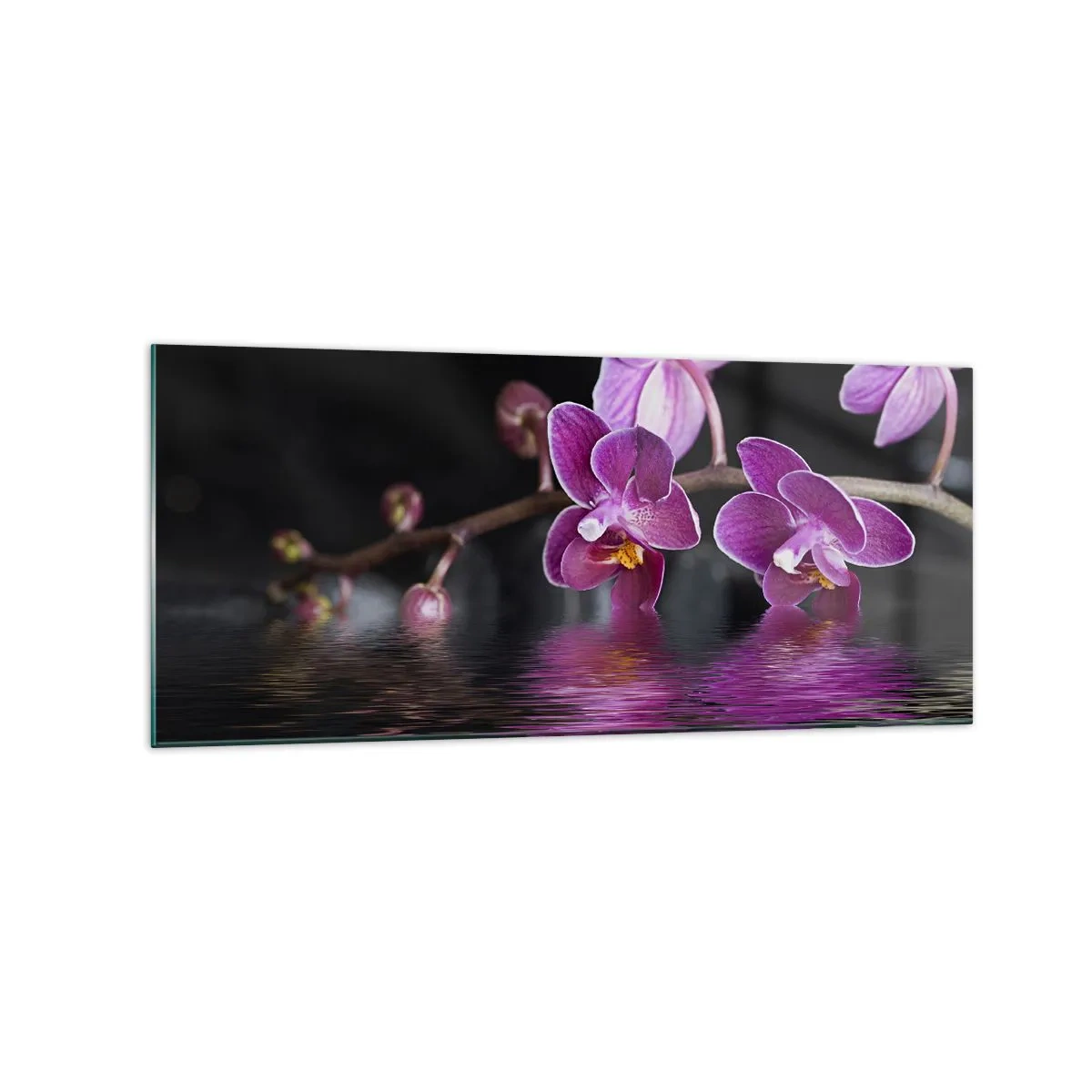 Tablou pe sticlă - Reflecție de frumusețe în liliac - 120x50 cm