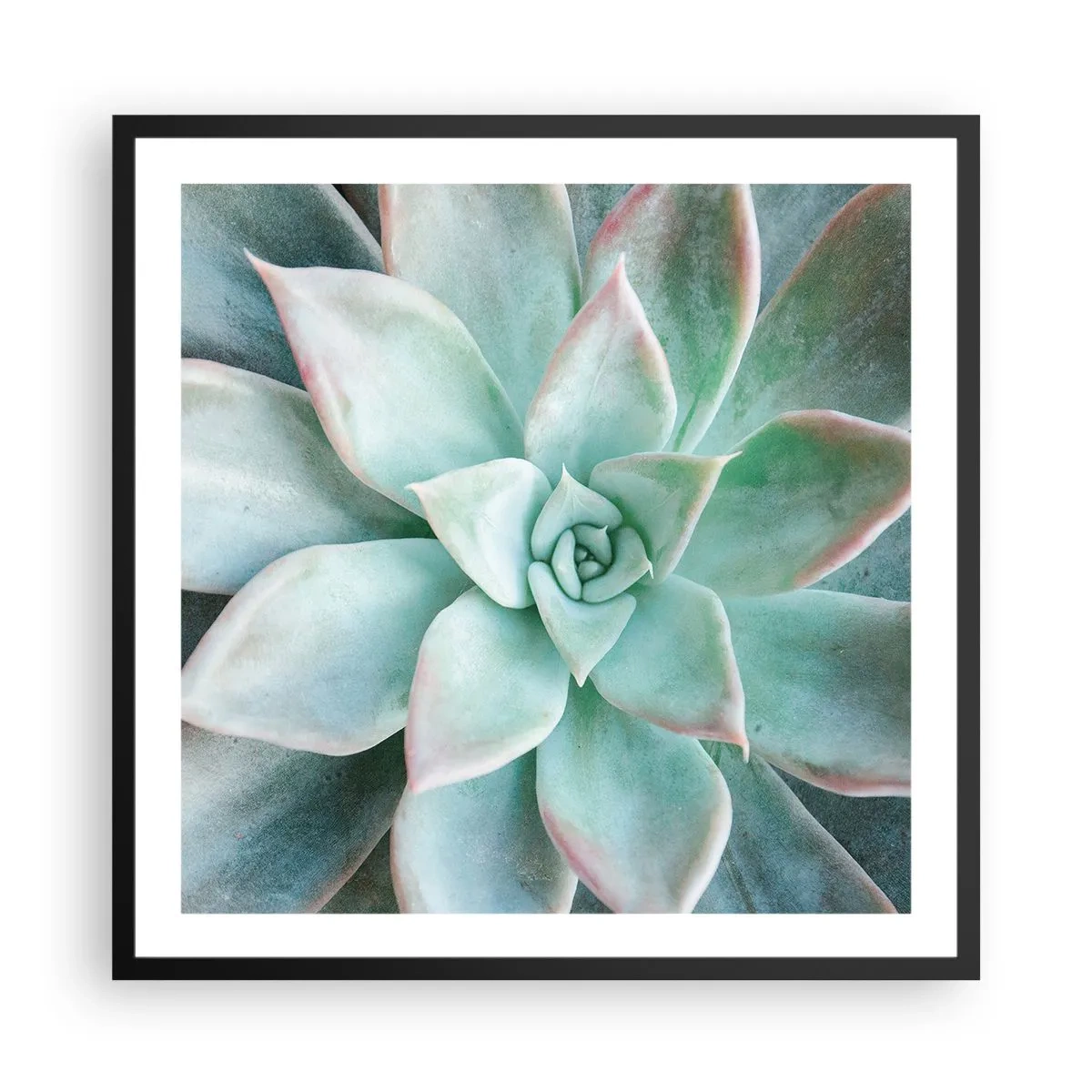 Poster în ramă neagră - Inima deșertului - 60x60 cm