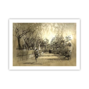 Poster - Un moment reținut cu pene - 70x50 cm