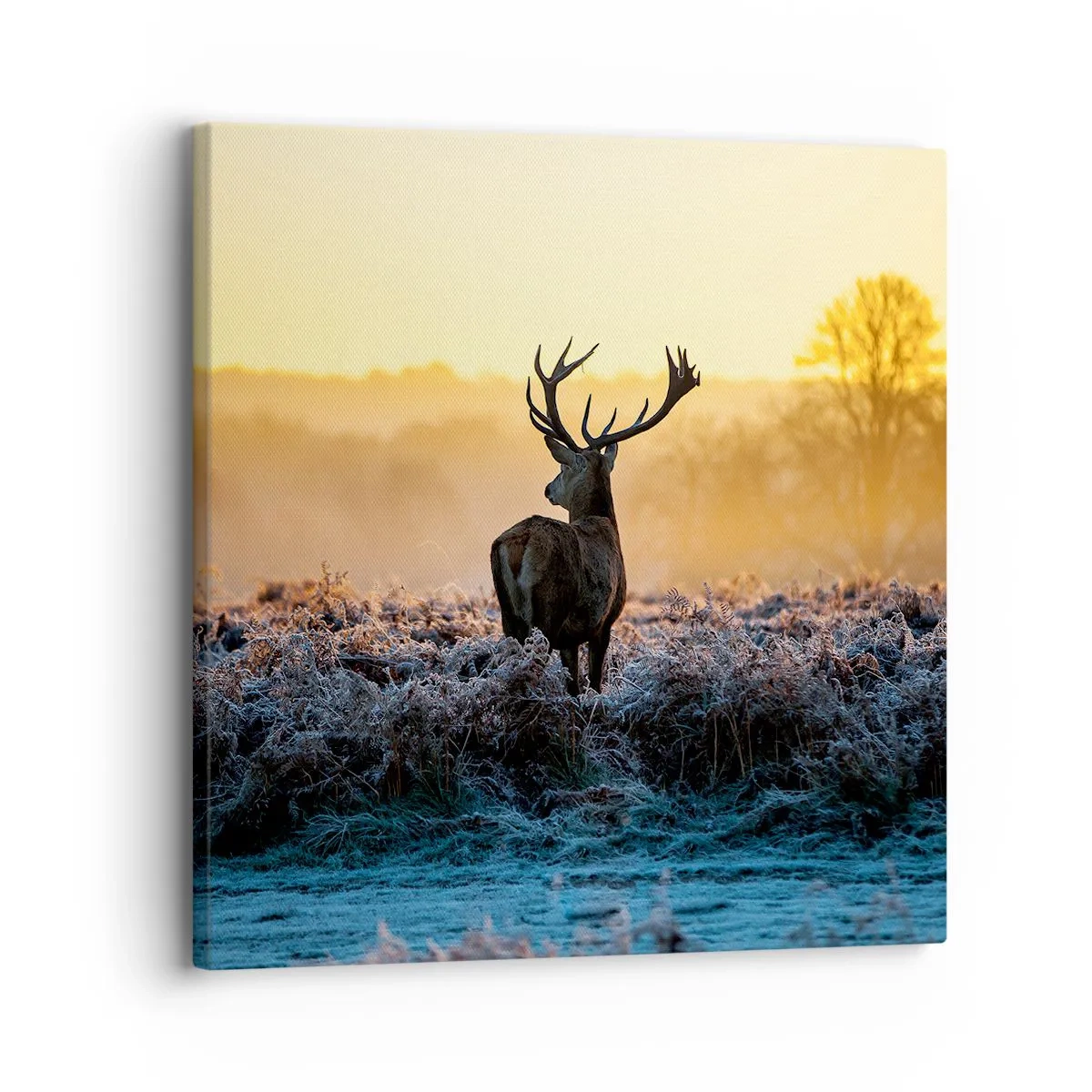 Tablou pe pânză - Încoronat pe domeniul său - 30x30 cm