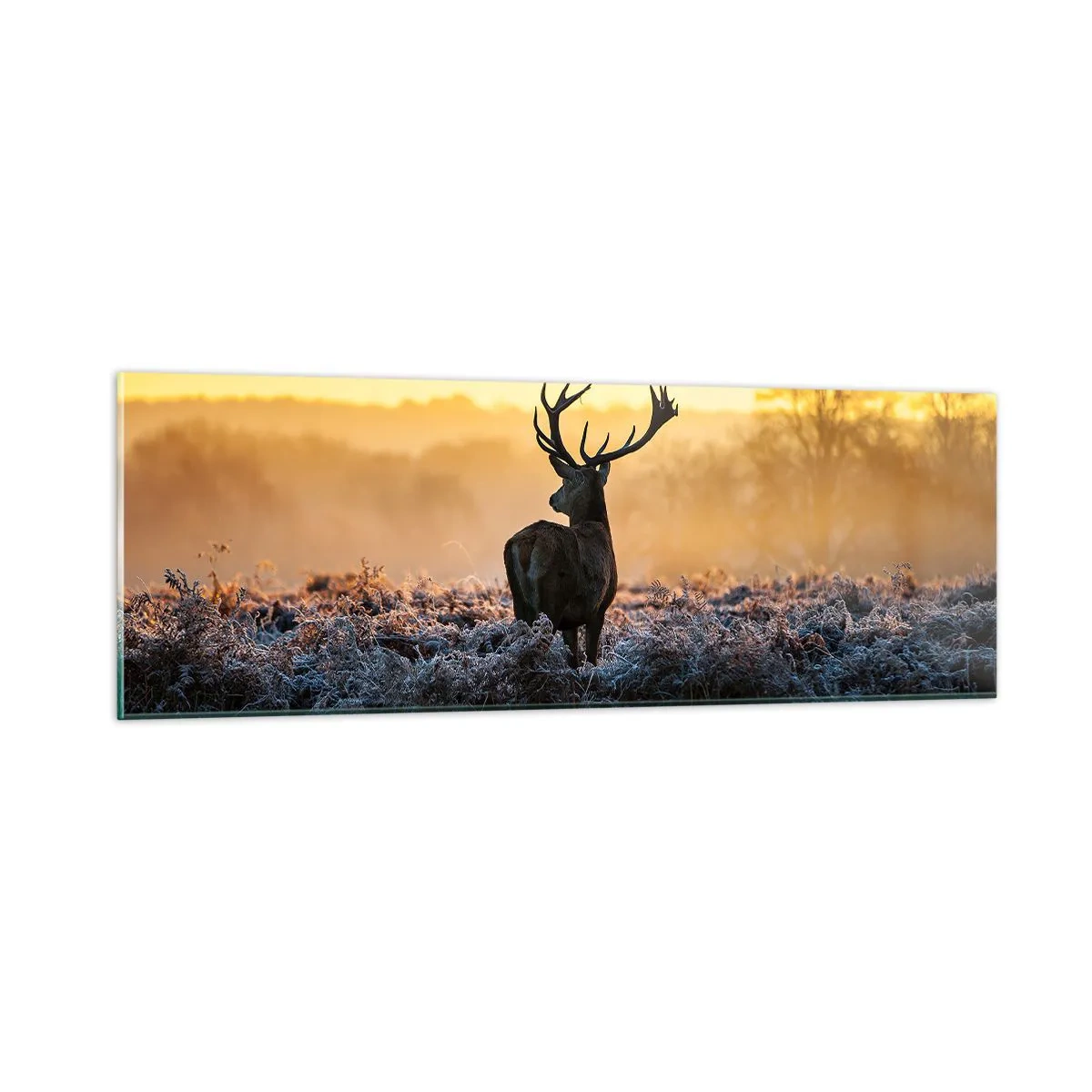 Tablou pe sticlă - Încoronat pe domeniul său - 90x30 cm