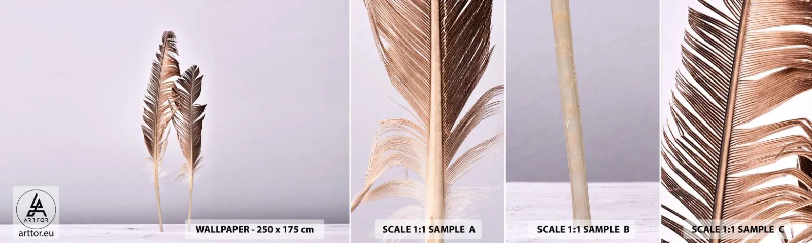 Mostră de Tapet Standard Eco - Împotriva neantului - Pene de pasăre, Bucată, Grafică - 100x30 cm