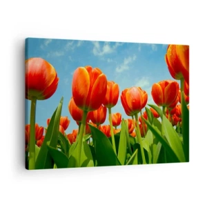 Tablou pe pânză Canvas - Un câmp de lalele roșii și portocalii pe un cer albastru - 70x50cm - Doar cerul albastru - Decorațiune modernă pentru perete pentru living și dormitor ARTTOR