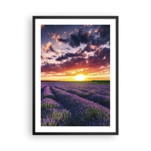 Poster în ramă neagră - Câmp de lavandă la apus - 50x70cm - Lumea lavandei - Decorațiune modernă pentru perete pentru living și dormitor ARTTOR