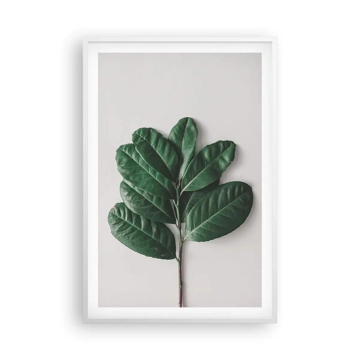 Poster în ramă albă - Desenul naturii însăși - 61x91 cm