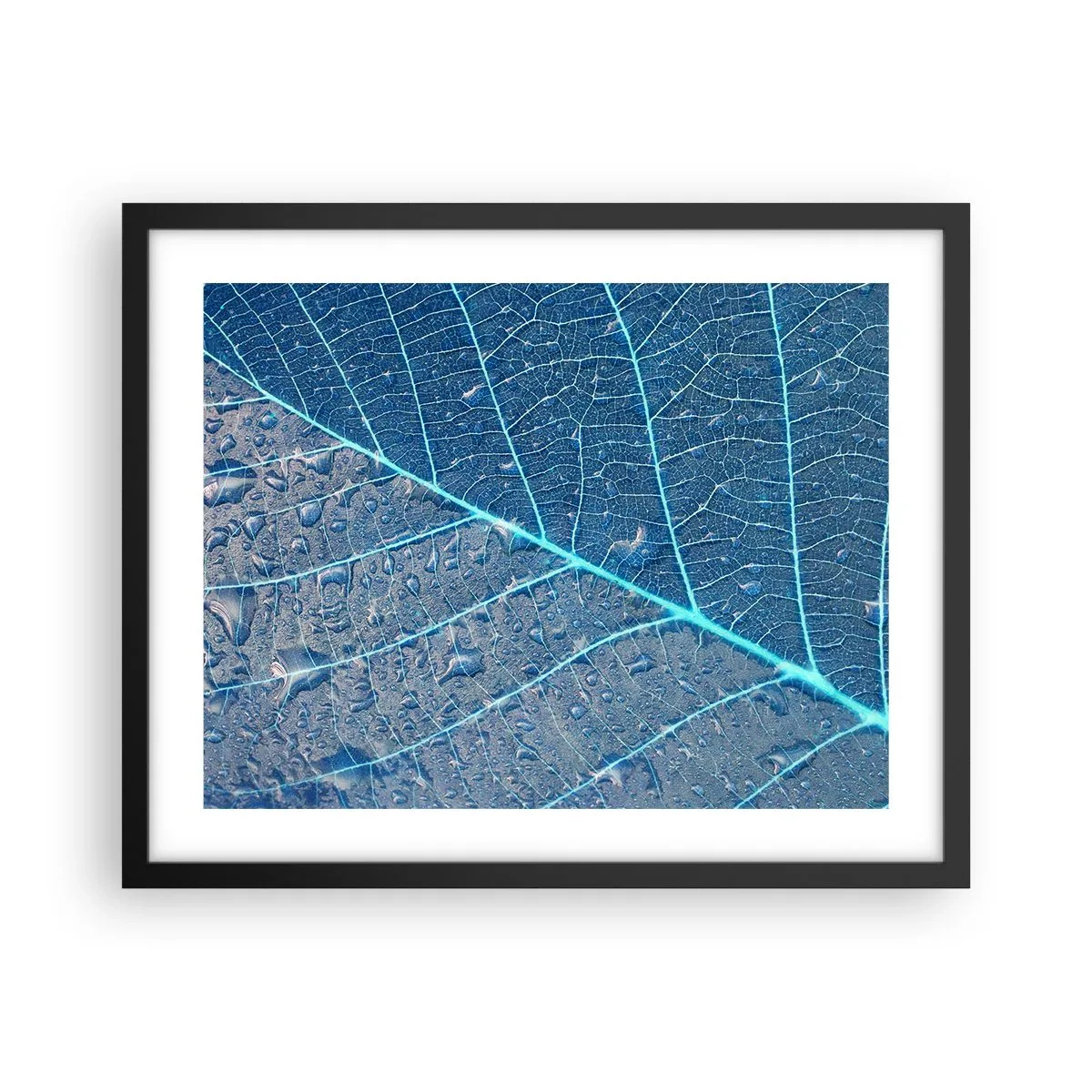 Poster în ramă neagră - Viața în albastru - 50x40 cm