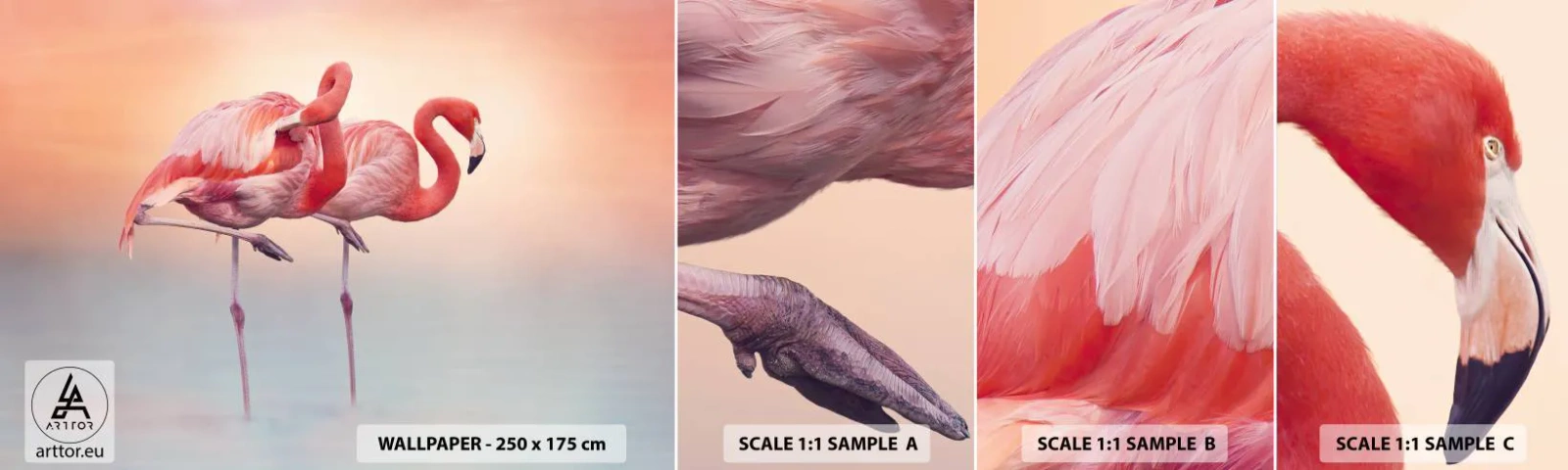 Mostră tapet autocolant Deluxe Sticker - În culoarea soarelui care apune - Flamingos, Păsări, Natură - 100x30 cm