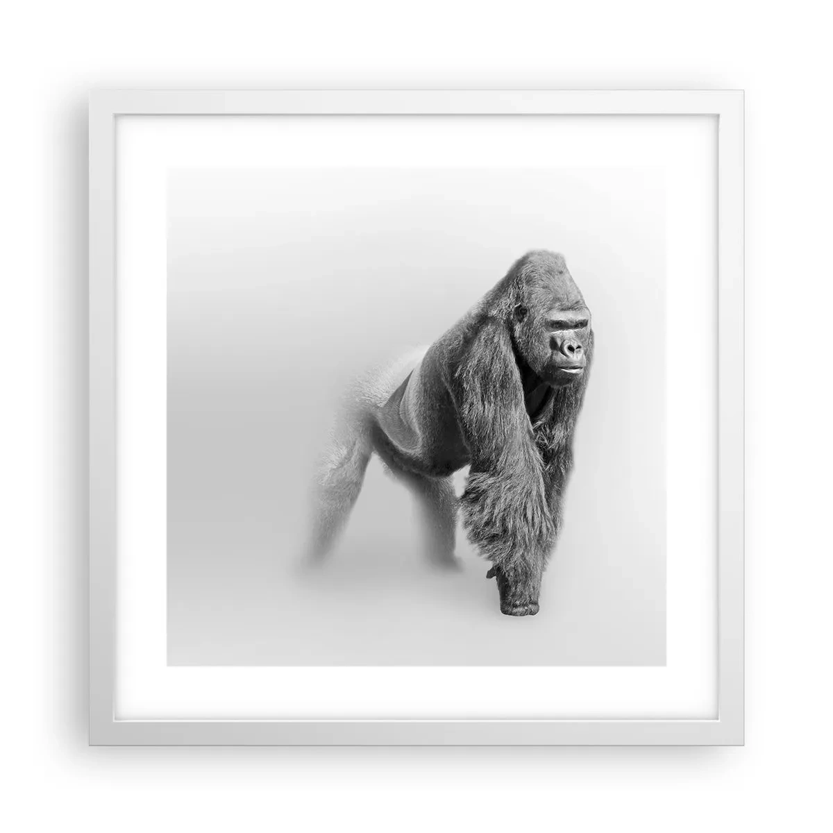 Poster în ramă albă - Încrezător în puterea lui - 40x40 cm