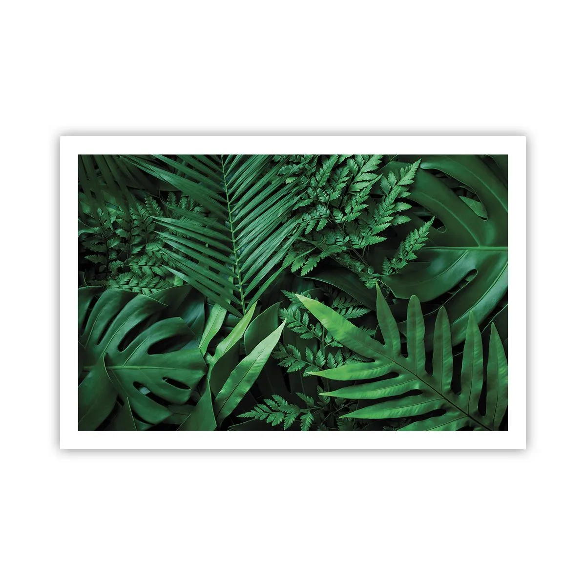 Poster - Înfășurate în verde - 91x61 cm