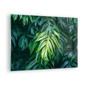 Tablou pe sticlă - Frunze verzi luxuriante de monstera în lumină naturală - 70x50cm - Scufundă-te în prospețime - Decorațiune modernă pentru perete pentru living și dormitor ARTTOR