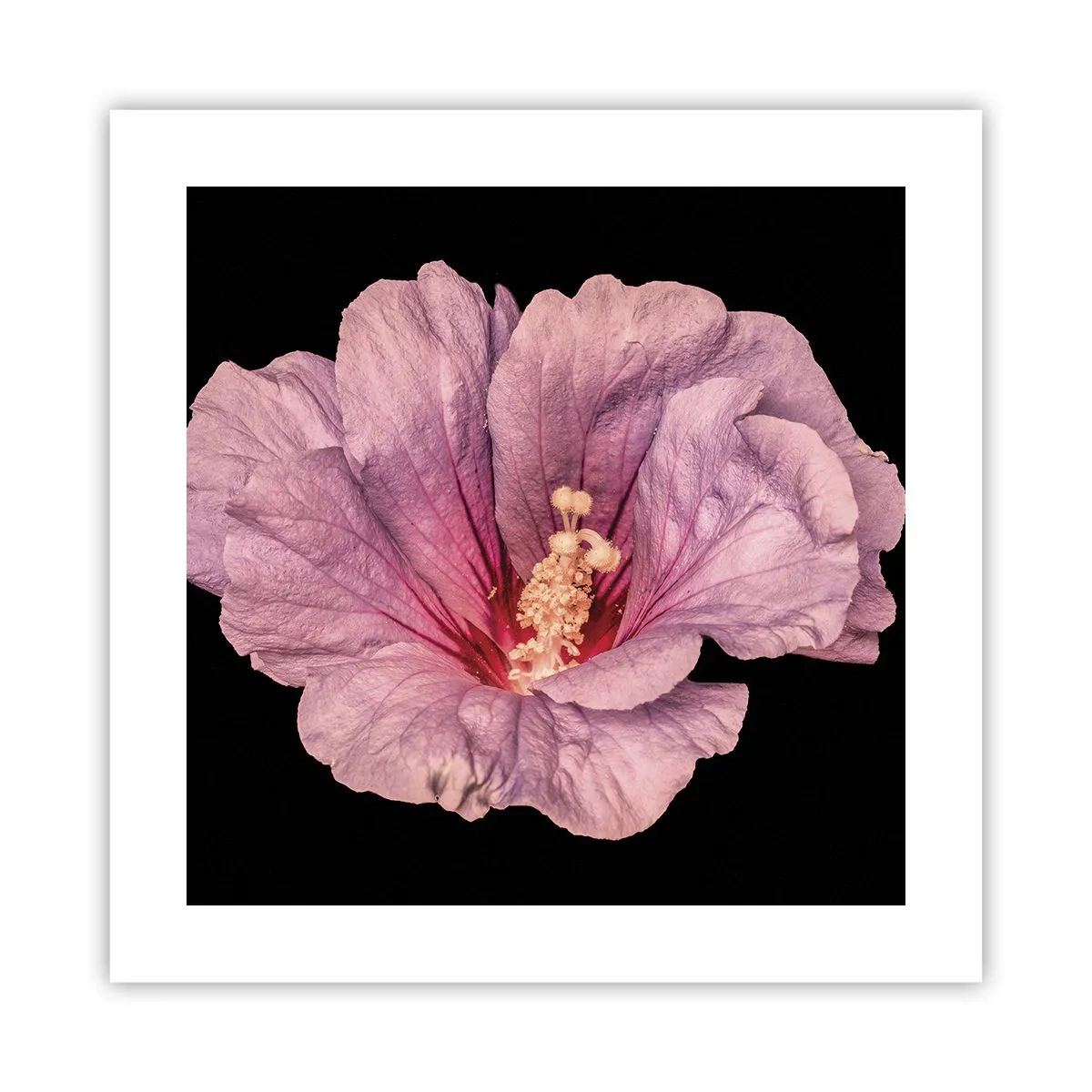 Poster - Direct la inimă - 40x40 cm