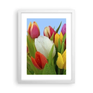 Poster în ramă albă - Un curcubeu floral în picături de rouă - 30x40 cm
