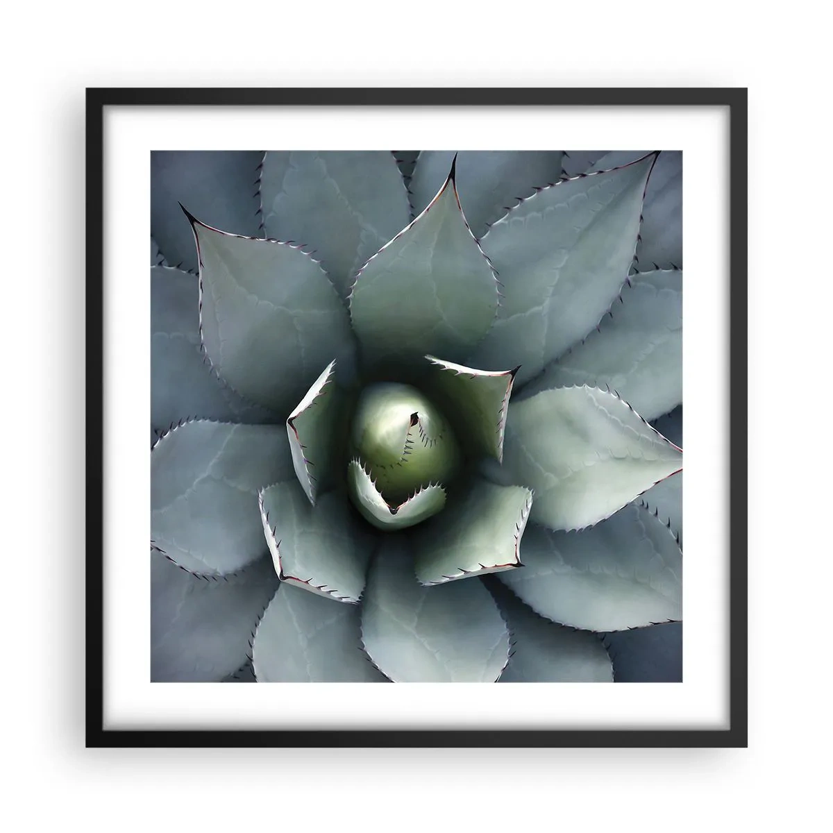 Poster în ramă neagră - Momește și avertizează - 50x50 cm