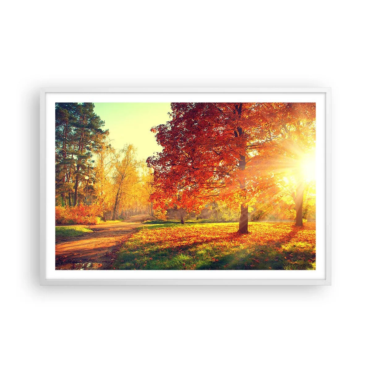 Poster în ramă albă - Roșcatul este frumos - 91x61 cm
