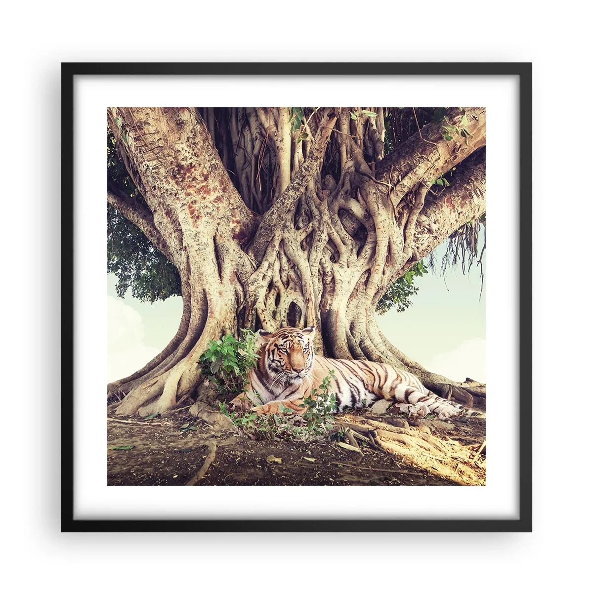 Poster în ramă neagră - O perspectivă din Geneză - 50x50 cm