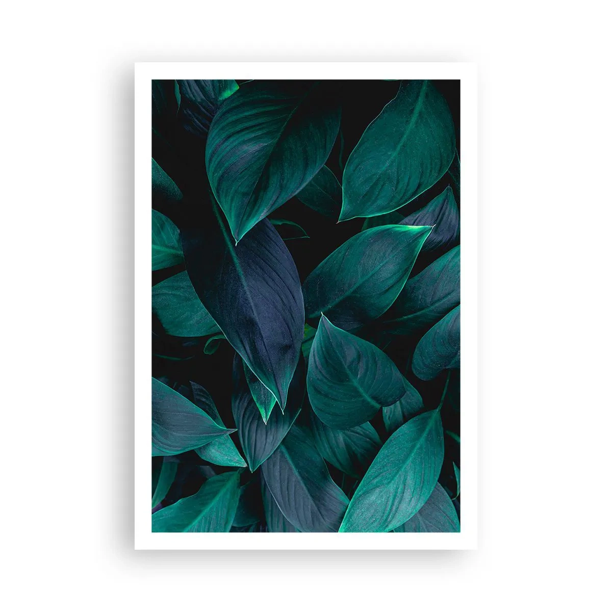 Poster - Verdeața în sine - 70x100 cm