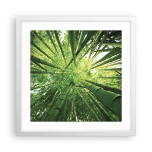 Poster în ramă albă - Într-o pădure de bambus - 40x40 cm