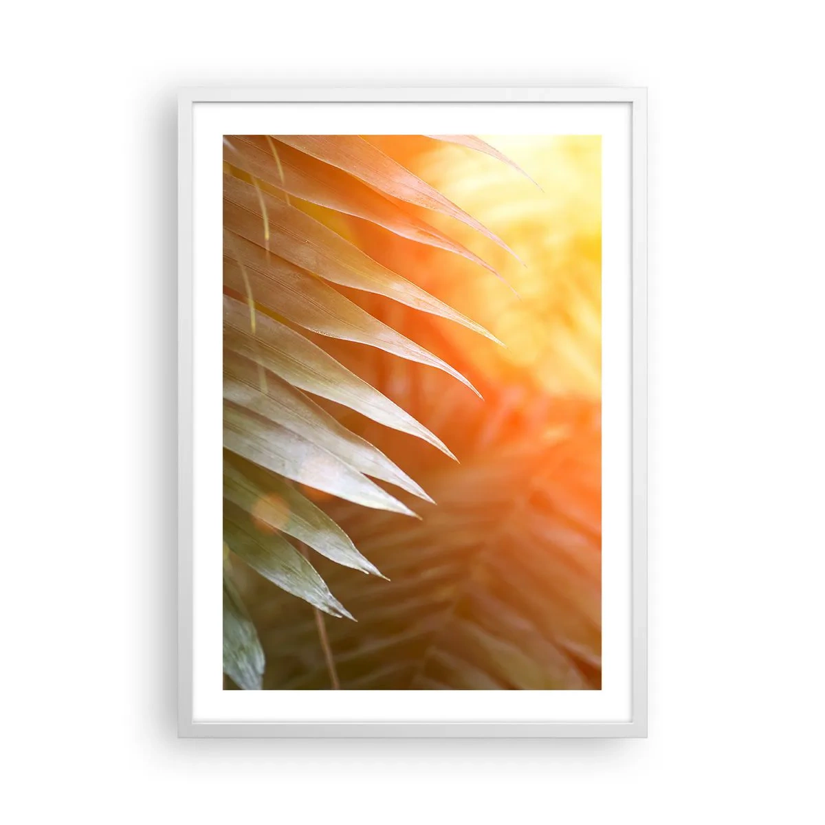 Poster în ramă albă - Dimineață în junglă - 50x70 cm