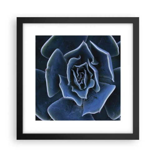 Poster în ramă neagră - Floare de deșert - 30x30 cm