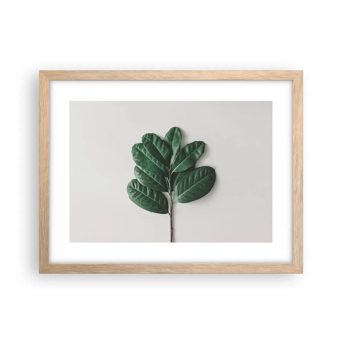 Poster în ramă de stejar deschis - Desenul naturii însăși - 40x30 cm