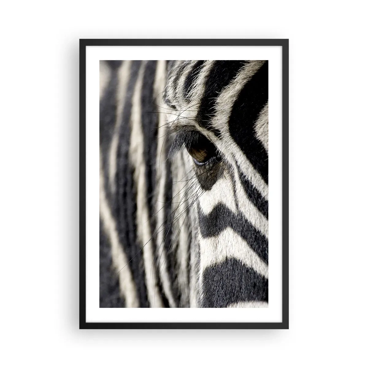 Poster în ramă neagră - Un prim-plan al ochiului unei zebre cu modelul său distinctiv. - 50x70cm - Portret cu dungi - Decorațiune modernă pentru perete pentru living și dormitor ARTTOR