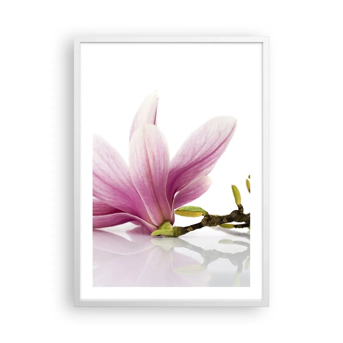 Poster în ramă albă - Delicate ca o adiere de primăvară - 50x70 cm