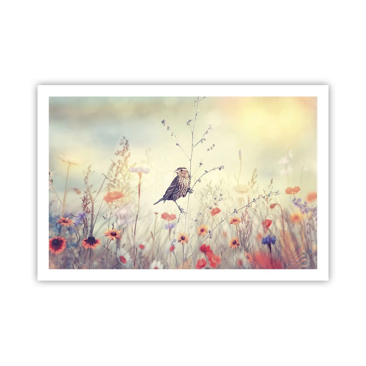 Poster - Portret de pasăre cu o pajiște în fundal - 91x61 cm