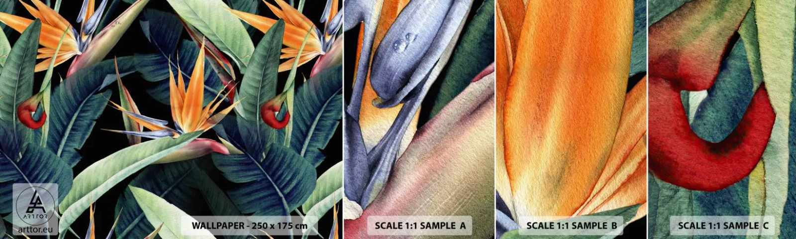 Mostră tapet autocolant Deluxe Sticker - Florile de flacără ale tropicelor - Strelitzia Royal, Floare, Africa - 100x30 cm