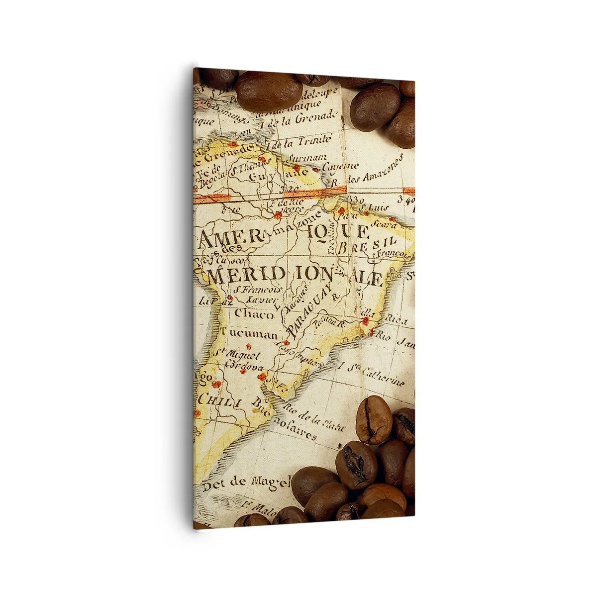 Tablou pe pânză - De unde provine cea mai bună cafea? - 65x120 cm