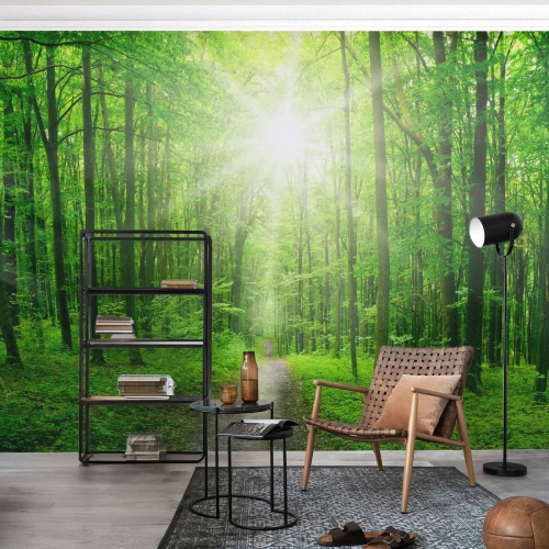 Tapet Standard Eco - Catedrala verde - Peisaj, pădure, Raze de soare - 250x175 cm