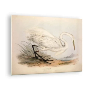 Tablou pe sticlă - Ilustrație vintage a unui stârc alb la marginea apei - 70x50cm - Doamna în stufărișuri - Decorațiune modernă pentru perete pentru living și dormitor ARTTOR