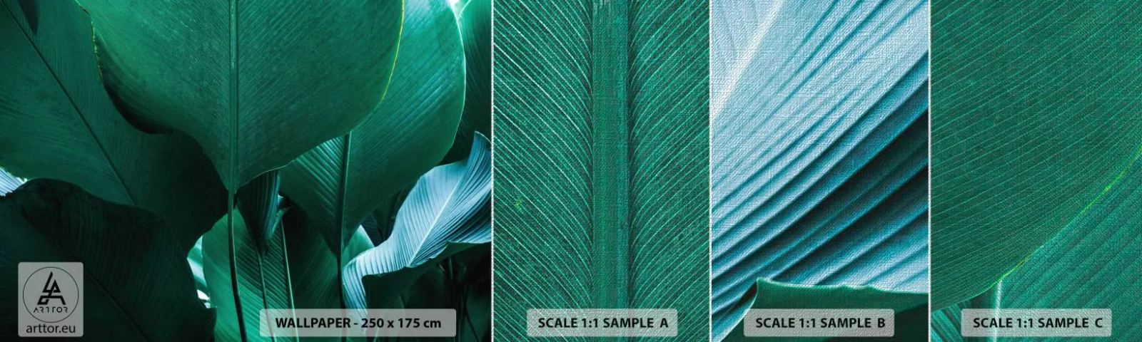 Mostră tapet Premium Canvas - Cu frunza la lumină - Frunza de banana, Bananer, Plantă - 100x30 cm