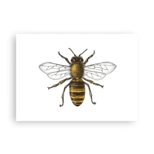 Poster - Frumoasă și bună - 70x50 cm