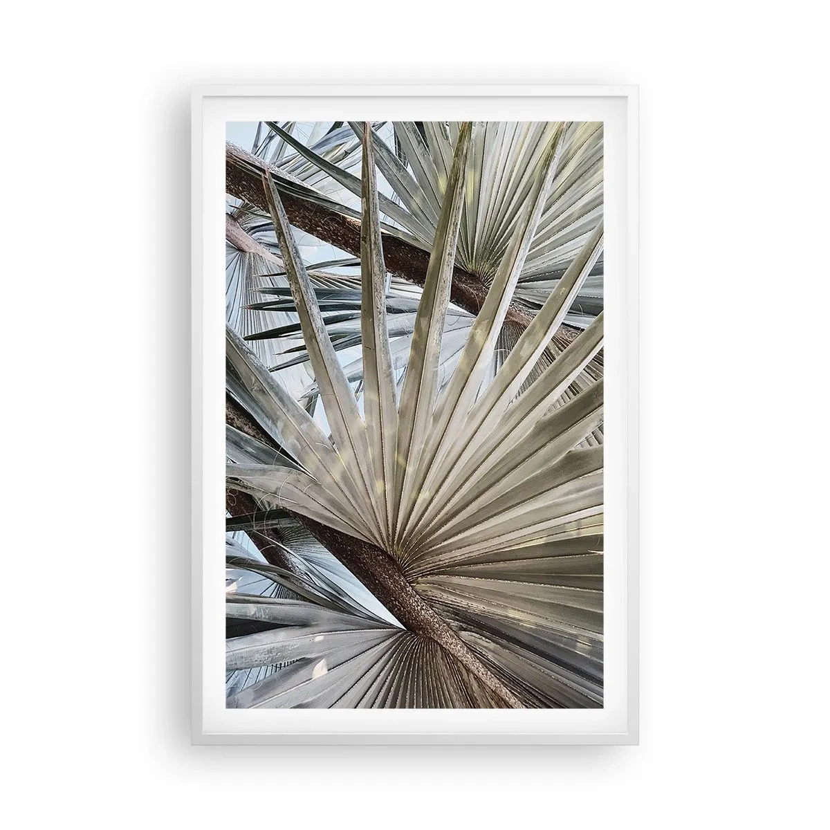 Poster în ramă albă - Evantaie din tropice - 61x91 cm
