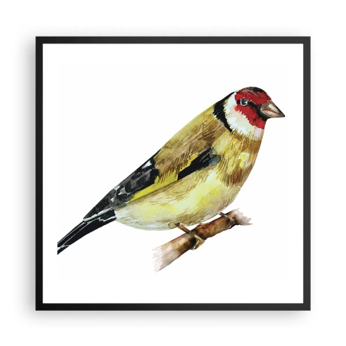 Poster în ramă neagră - Portret de pasăre - 60x60 cm