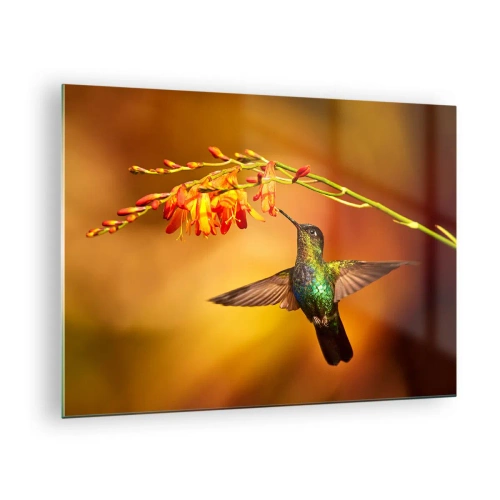 Tablou pe sticlă - Colibri lângă flori într-o strălucire aurie - 70x50cm - Mesagerul mayaș al luminii - Decorațiune modernă pentru perete pentru living și dormitor ARTTOR