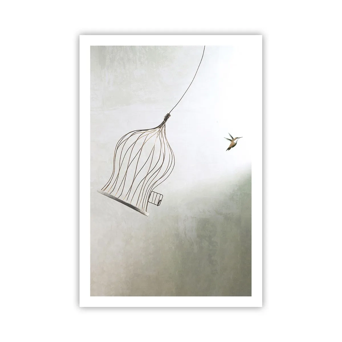 Poster - Eliberat - 61x91 cm