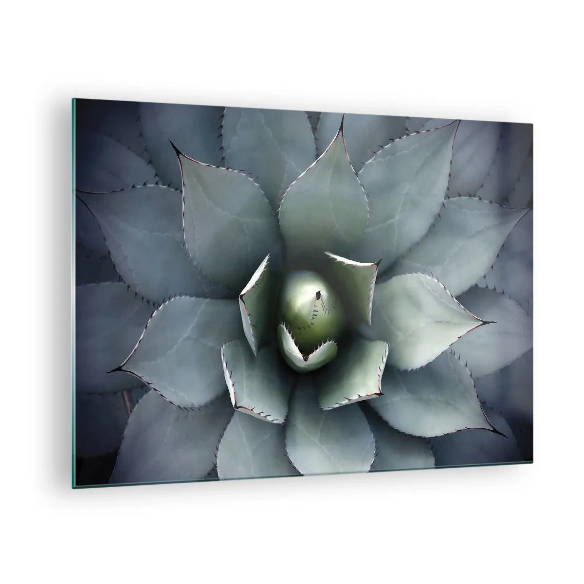 Tablou pe sticlă - Un prim-plan al frunzelor de agave simetrice, de culoarea oțelului. - 70x50cm - Momește și avertizează - Decorațiune modernă pentru perete pentru living și dormitor ARTTOR
