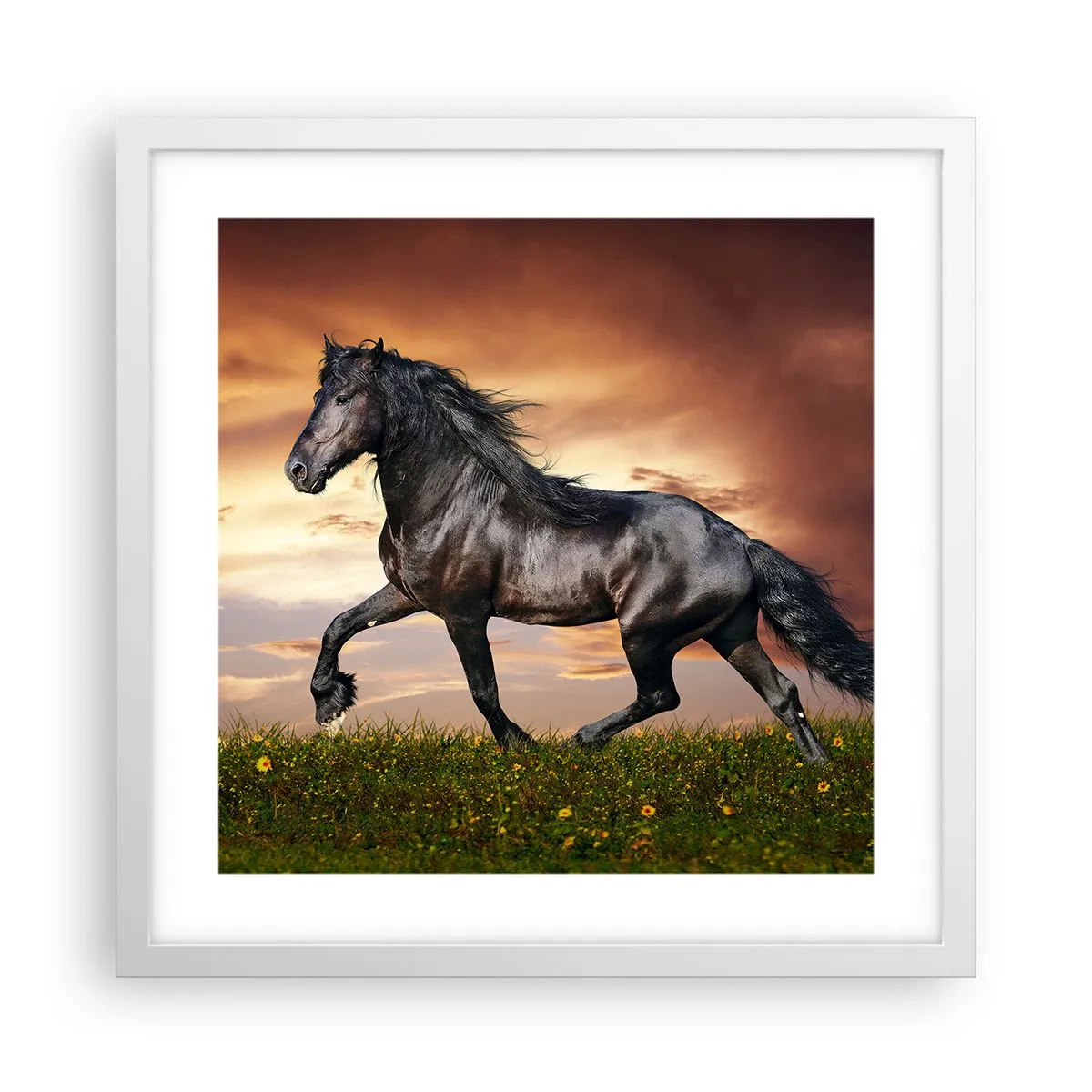 Poster în ramă albă - Prințul negru - 40x40 cm