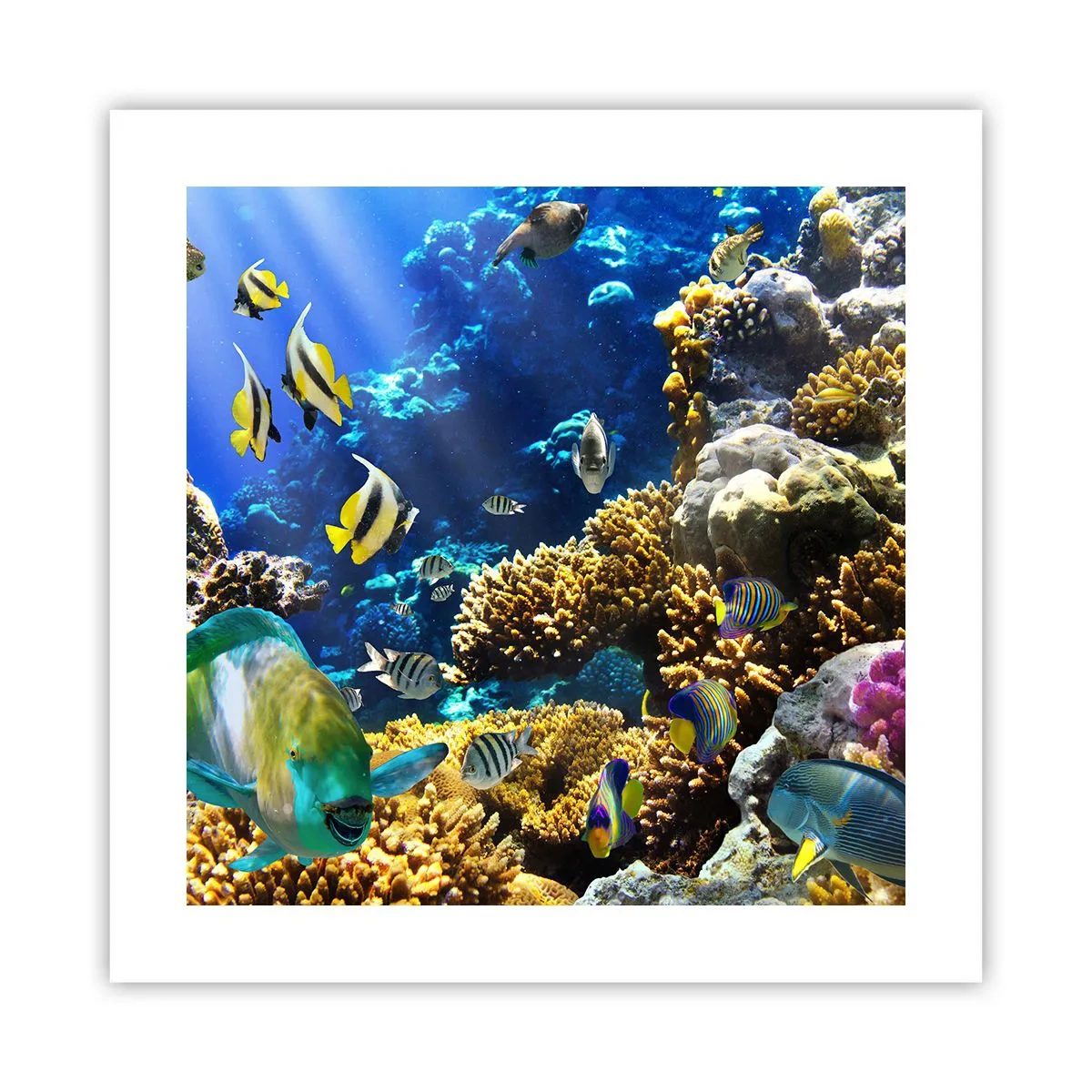 Poster - Trafic intens pe traseul de vacanță - 40x40 cm